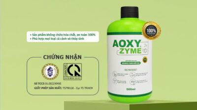 vi sinh Aoxyzyme