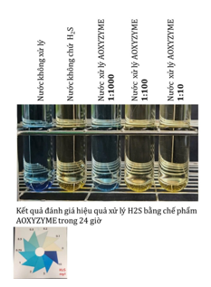 Aoxyzyme xử lý H2S