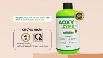 vi sinh Aoxyzyme xử lý NH3 và H2S